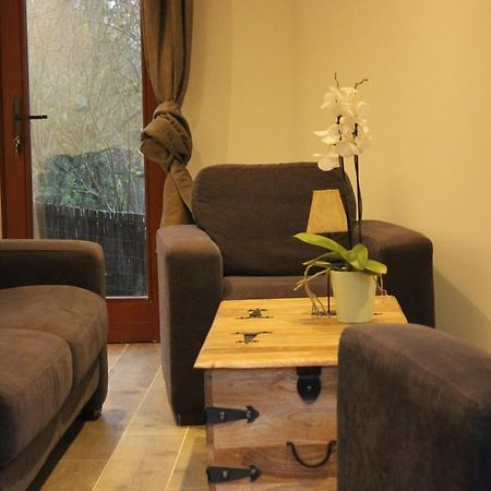 Maison Neuve En Bois Pres De Pairy Daisa Brugelette Exteriér fotografie